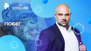 Побег — Как устроен мир с Тимофеем Баженовым (26.05.2025)