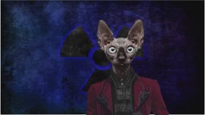 Сводки с фронтОв с Котом Костяном от 26.05.25