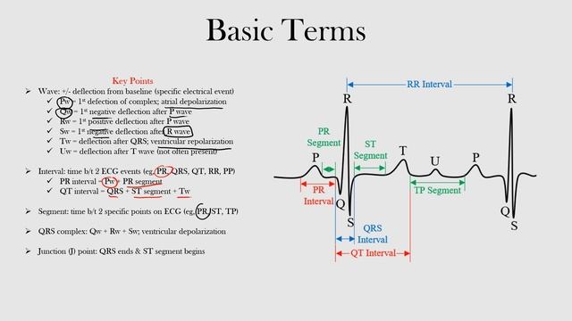 12.Basic Terms смотреть онлайн