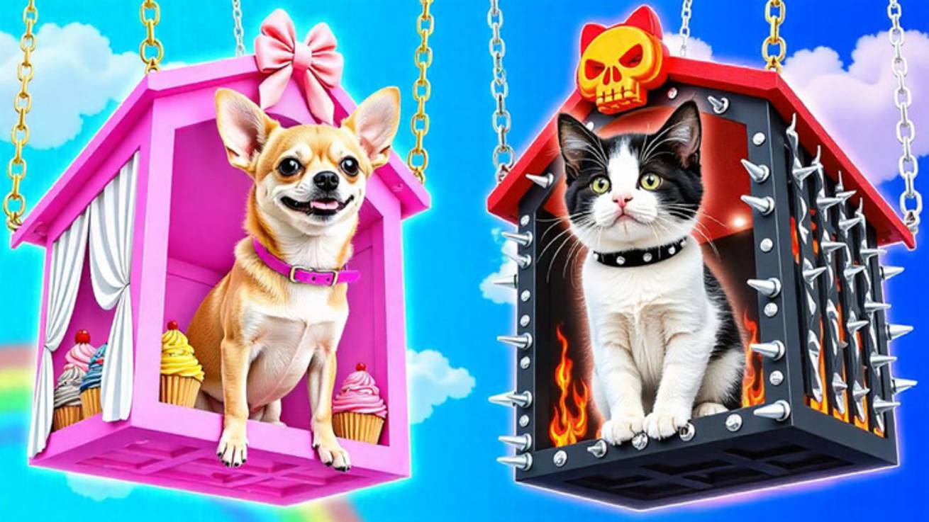 🐾Зоопарк мечты для питомцев 🏡 Идеи и гаджеты для заботливых хозяев смотреть онлайн