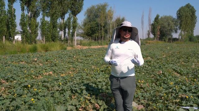 David F1 #YangiQovun #SuperQovun #ЯнгиҚовун #СуперҚовун Мурожаат учу? смотреть онлайн