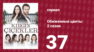 Обиженные цветы 2 сезон 37 серия (сериал, 2015)