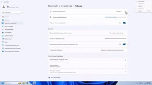 Как настроить мышь для левши в Windows 11