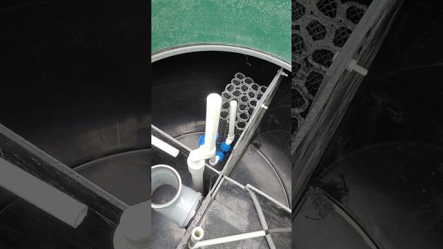 Евролос Био 3+ обновление.