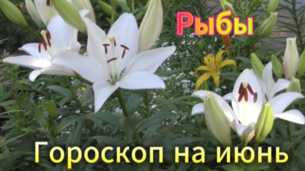 Рыбы! Гороскоп на июнь 2025 года! смотреть онлайн