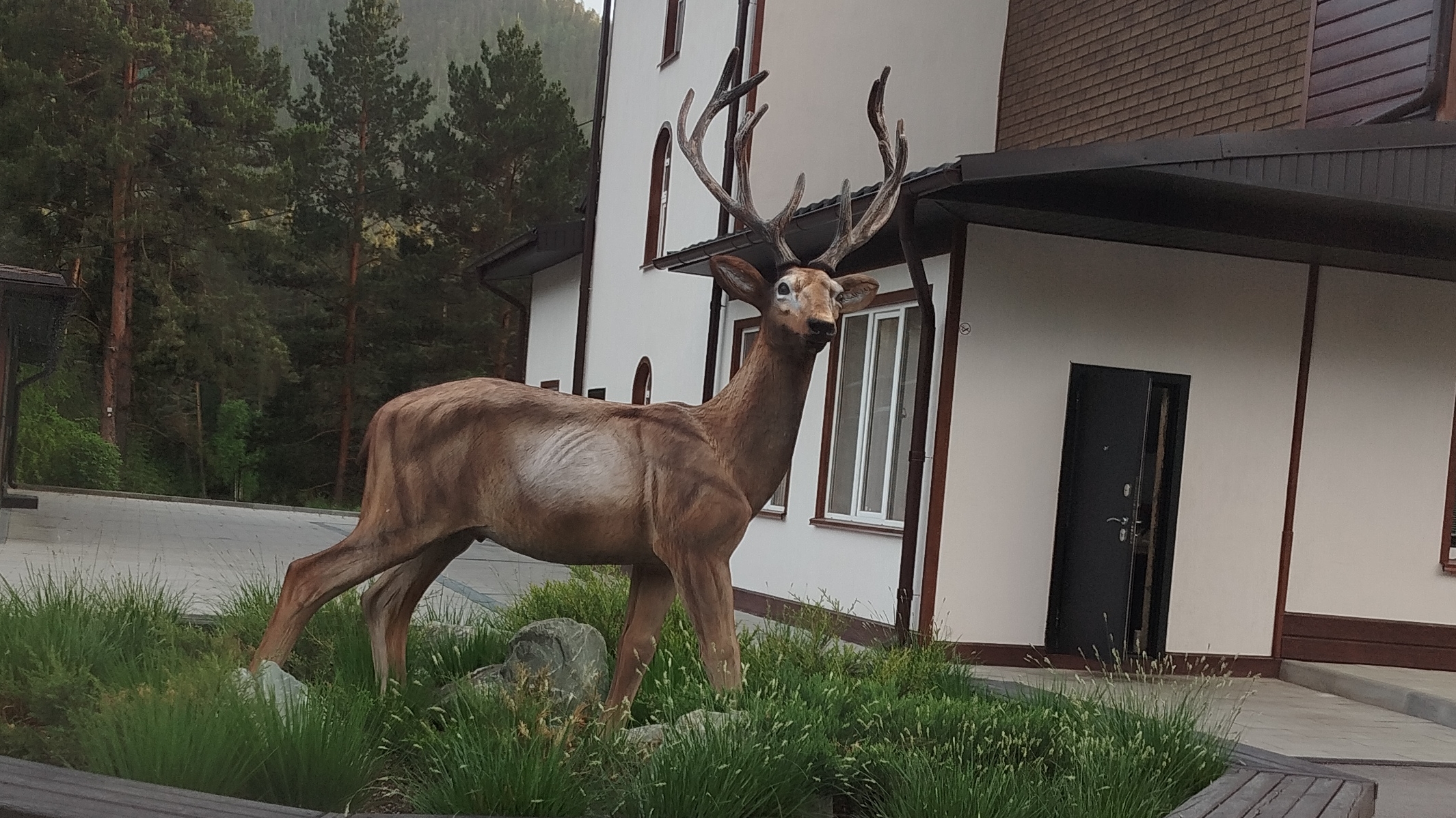 Чемал. Эко-парк-отель