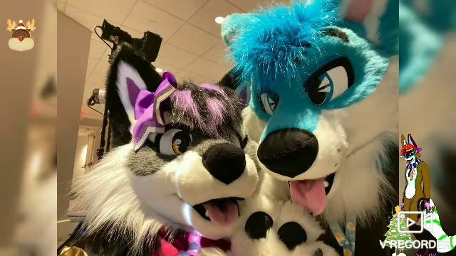 Красивые картинки Фурри # 28 смотреть онлайн