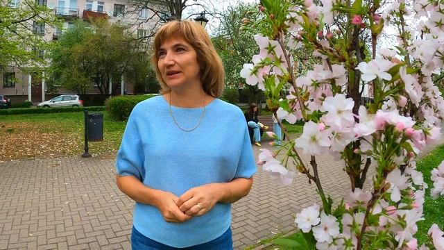 Калининград 2025  Будут ли туристы?