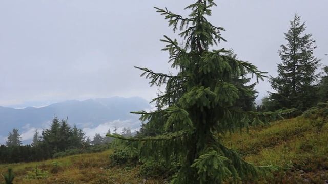 Синевир. Похід до озера через дикі гори з наметом. Найб