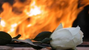 Я помню тот день, ту ночь