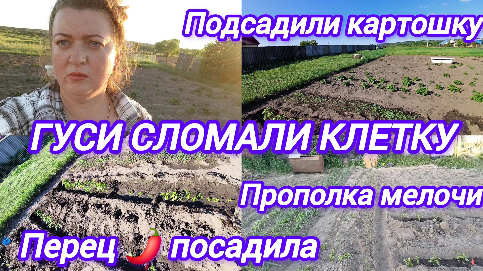 ГУСИ СЛОМАЛИ КЛЕТКУ. ПОСАДИЛА ПЕРЕЦ. ПОДСАДИЛИ КАРТОШКУ. ПРОПОЛОЛА МЕЛОЧЬ смотреть онлайн