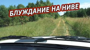 НА НИВЕ В ГЛУШЬ ТАЙГИ. БЛУЖДАНИЯ НА НИВЕ