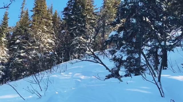 Шерегеш декабрь 2022 смотреть онлайн