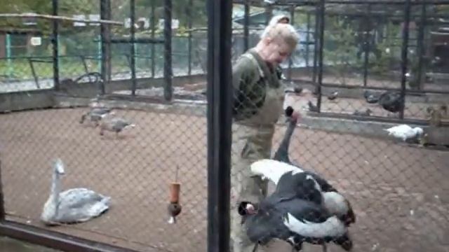 Фильм Дуэт с Журавлём