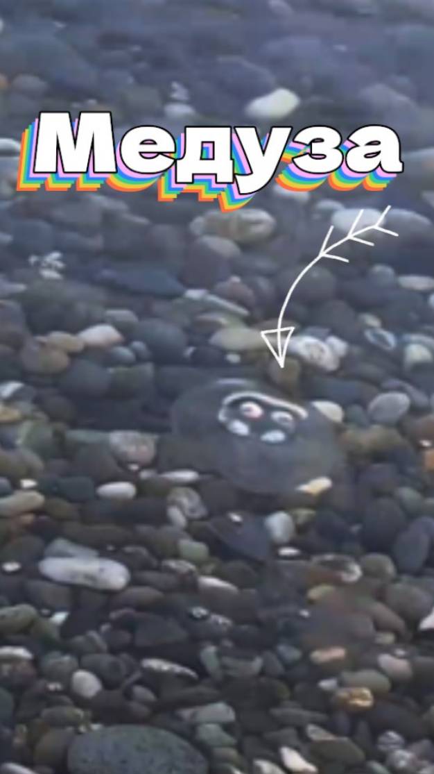 Море. Медузы. Релакс смотреть онлайн