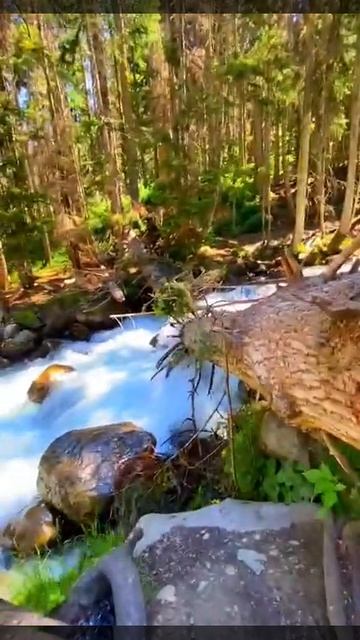 самый красивый водопад в лесу смотреть онлайн