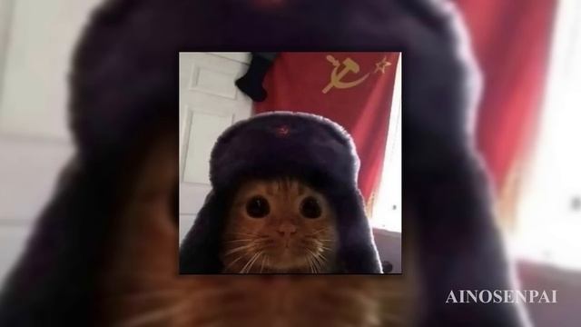 Плейлист популярных песен из тик тока 2025