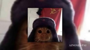 Плейлист популярных песен из тик тока 2025