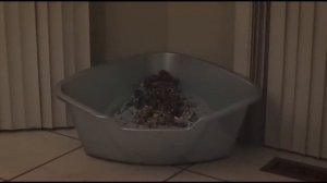 КОРОТКОМЕТРАЖКА “ СДЕЛАЙ МНЕ СЭНДВИЧ ” 16+