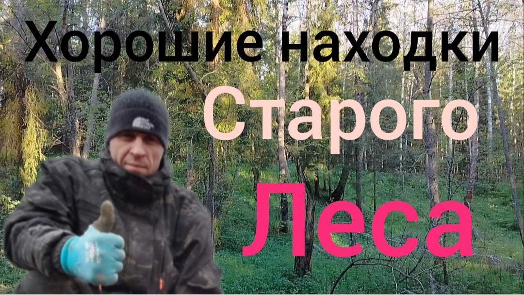 хороший коп в лесу смотреть онлайн