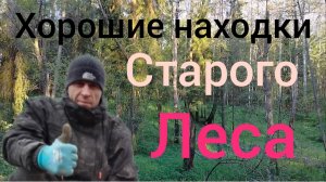 хороший коп в лесу