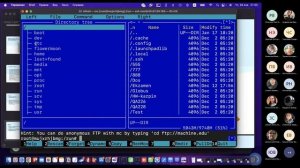 КОРНЕВОЙ КАТАЛОГ LINUX - ОБЗОР