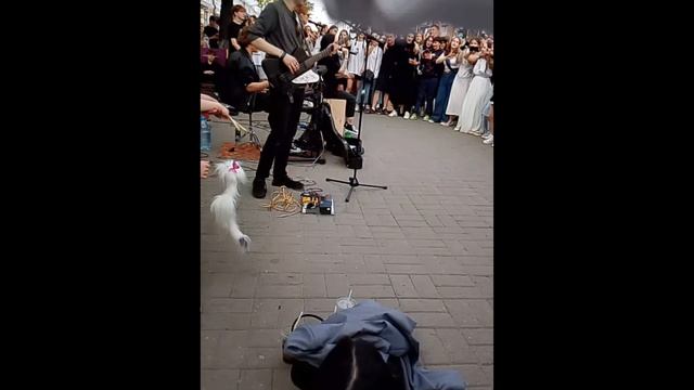 просто новое видео смотреть онлайн