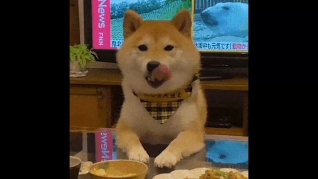 С КАКОГО САЙТА КАЧАТЬ ПИРАТСКИЕ ИГРЫ ЛУЧШЕ ВСЕГО?