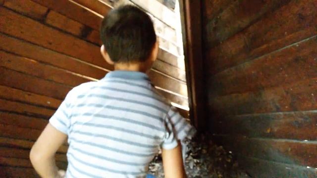Ломаю туалет! 2 смотреть онлайн