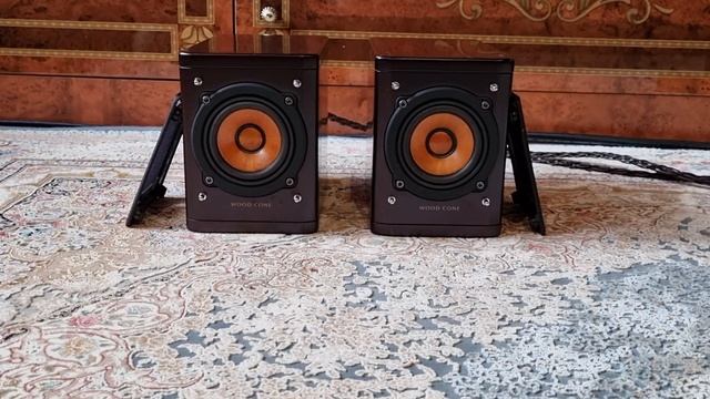 Акустика JVC Wood Cone (sp-exak1)