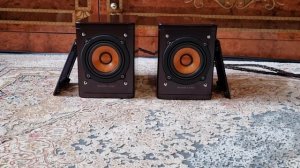 Акустика JVC wood cone (sp-exak1)