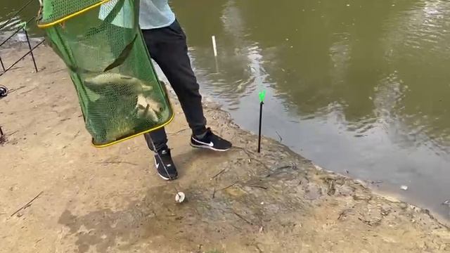 26.05.25 г. Парк отдыха водопад смотреть онлайн