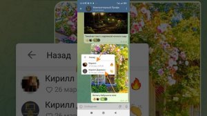 Как посмотреть кто поставил Реакцию в Телеграмме