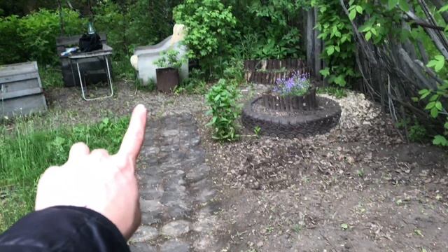 Победила муравьев и навела красоту. Посеяла кукурузу и пересадила лихнис смотреть онлайн