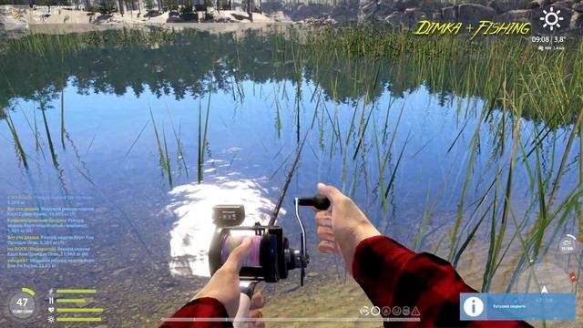 Русская рыбалка 4.🎣🦈 оз. Куори 🐬🐬🐬💦 ГДЕ ЛОВИТ LATORS смотреть онлайн