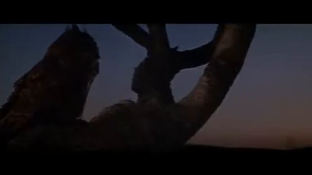 Два мула для сестры Сары "Two Mules for Sister Sara" (1970г.) смотреть онлайн