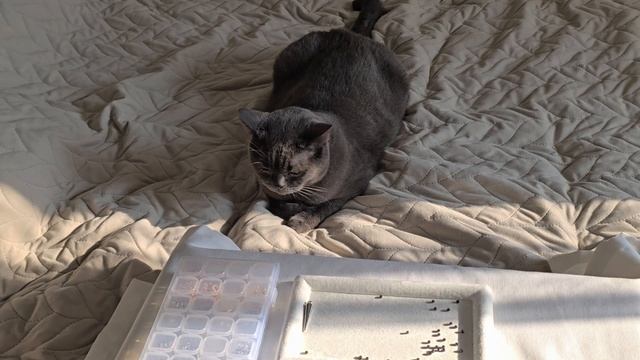 Мое первое видео /Упаковка для украшений /Делаю украше