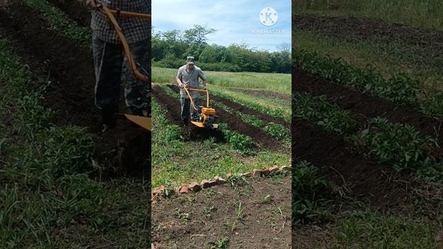 Мотоблок Denzel DPT-2705 .mp4