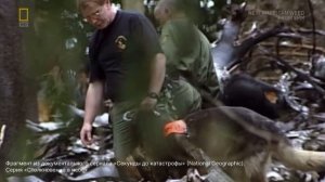 Авиакатастрофа. Виталий Калоев в поисках справедливо?