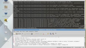 Установка Крипто-Про CSP на Alt Linux одной командой