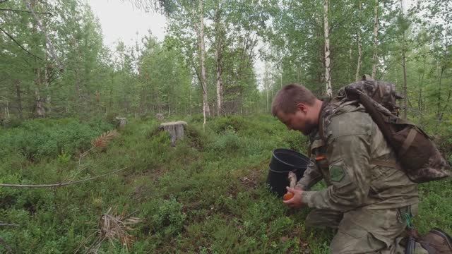Я ИХ РВАЛ А ОНИ НЕ КОНЧАЛИСЬ. ПОХОД ЗА ГРИБАМИ. СБОР ГРИБОВ В КАРЕЛИИ. МНОГО ГРИБОВ. БОГАТЫЙ ЛЕС смотреть онлайн