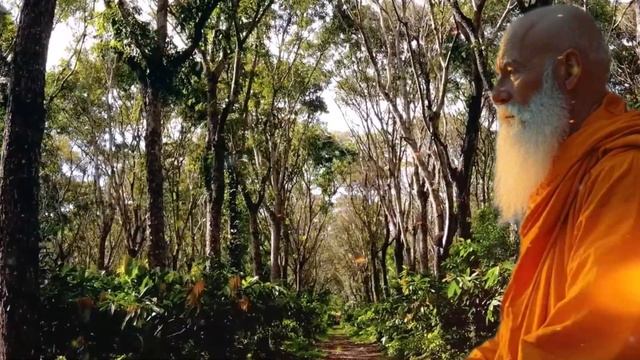 Электроника в стиль-шоу