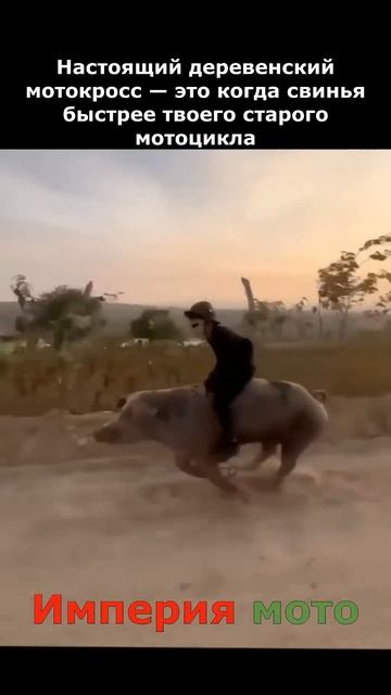 Блог военного пенсионера. Прикольно и смешно!!!