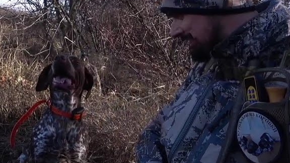 Охота с Кометосиком. Охота с Курцхаарами смотреть онлайн