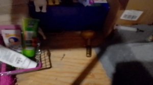 БЛОГ вечер сквиши собачек!