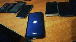 Моя коллекция телефонов за декабрь 2024