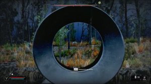 S T A L K E R 2  САЙГА-12 и ФЛЕШКА к ней (все на поле вертушек)