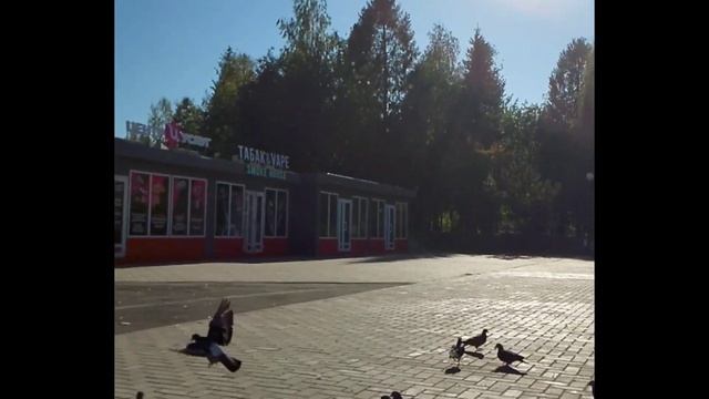 📽Готовлю вкусняшки💥Наши крысята💥Рогалики со сгущ?