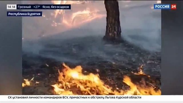 Россия 24_Лесные пожары в регионах РФ смотреть онлайн