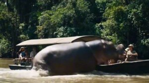 Нападение бегемота на лодку